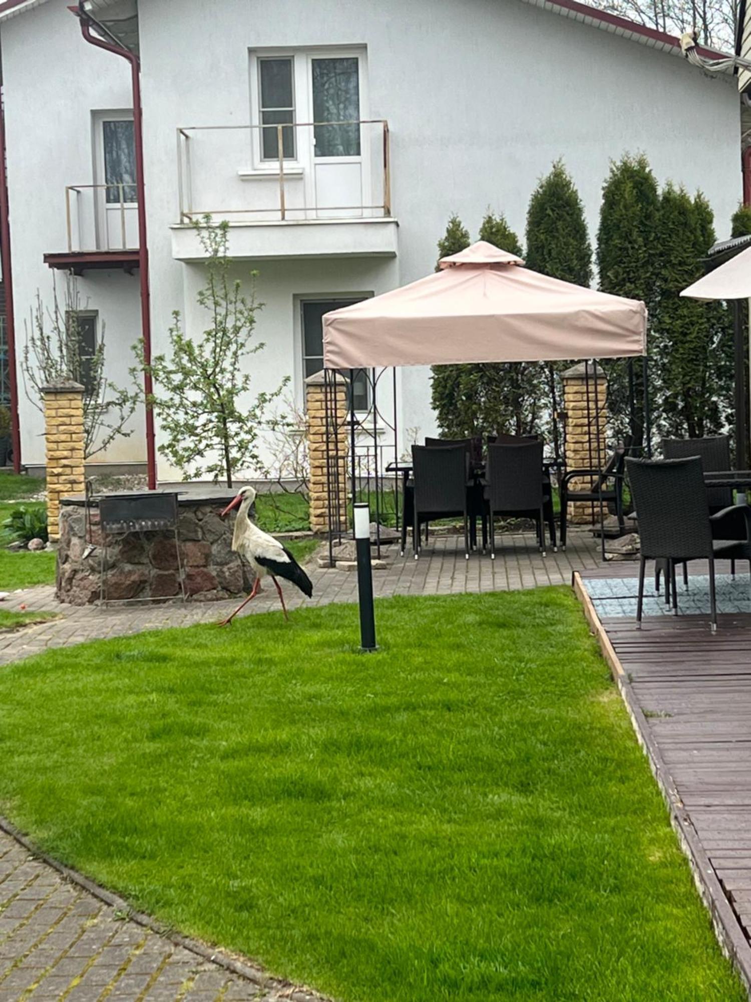 Vila Laurus Паланга Екстериор снимка